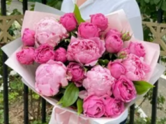 Пионы в подарок: кому и на какие праздники их можно дарить