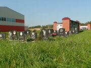 Как правильно организовать захоронение домашних животных